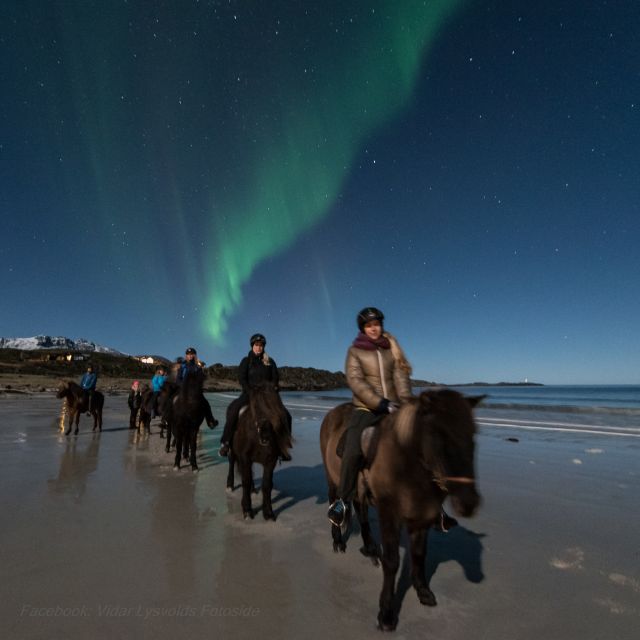 Northern light on horseback - The Experience Guide and Group Atmosphere
