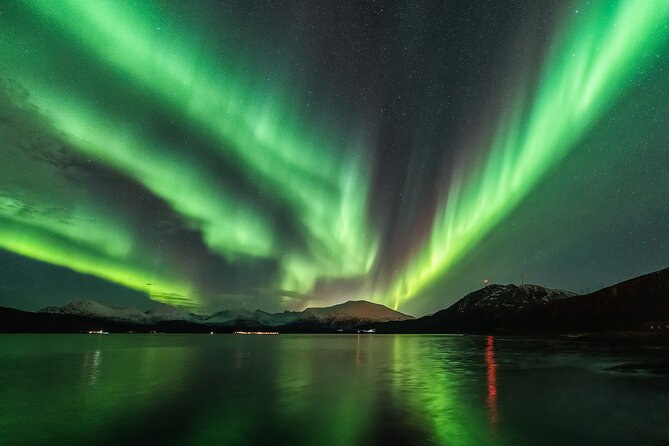 Northern Lights Adventure - Who Should Consider This Tour