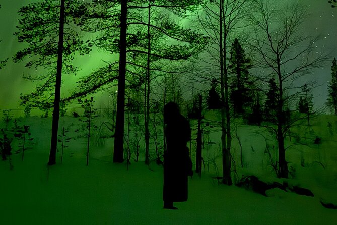 Northern Lights Adventure in the Wild with Campfire Treats - Exploring the Wilderness Village of Lompolo