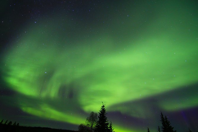 Northern Lights and Arctic Circle Trip from Fairbanks - Crossing the Arctic Circle and Earning Your Certificate