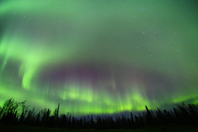 Northern Lights and Arctic Circle Trip from Fairbanks - Strolling Along Yukon River