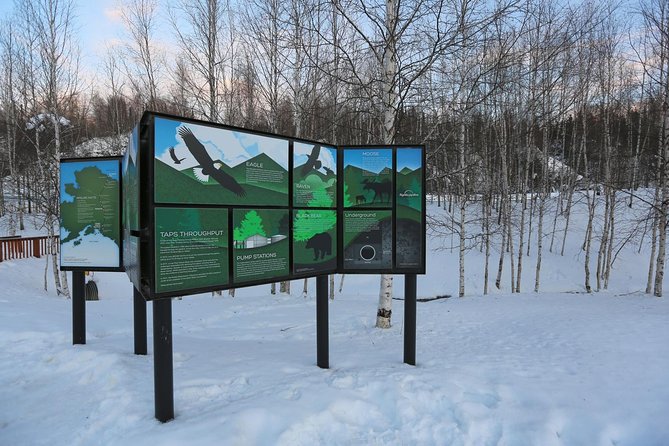 Northern Lights and Arctic Circle Trip from Fairbanks - Culinary and Refreshment Inclusions