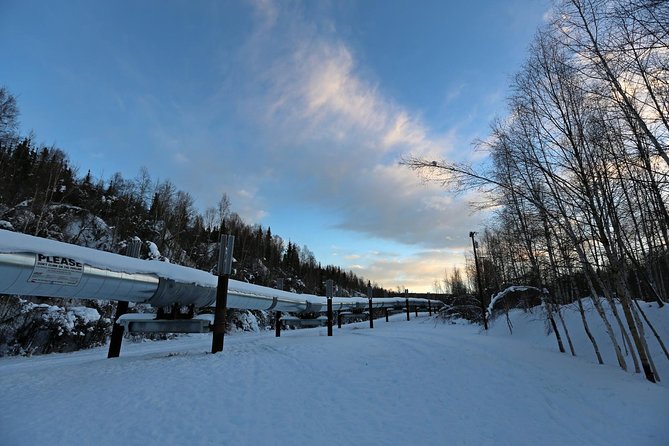 Northern Lights and Arctic Circle Trip from Fairbanks - The Yukon River Walk and Geology Talk
