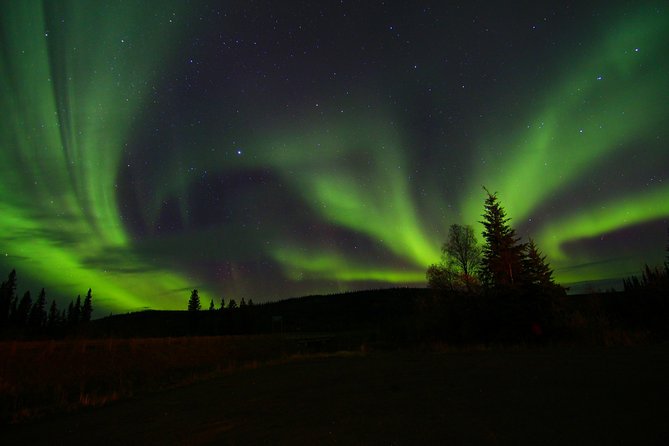 Northern Lights and Chena Hot Springs Night Tour from Fairbanks - The Role of Guides and Their Expertise
