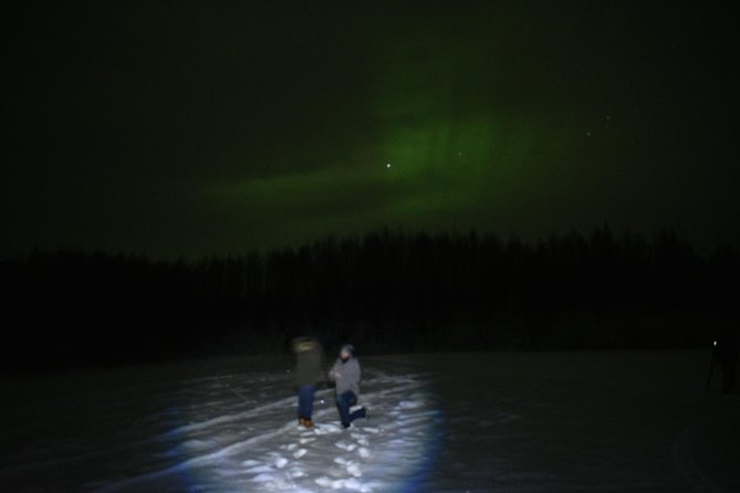 Northern Lights and Chena Hot Springs Tour from Fairbanks - Key Points