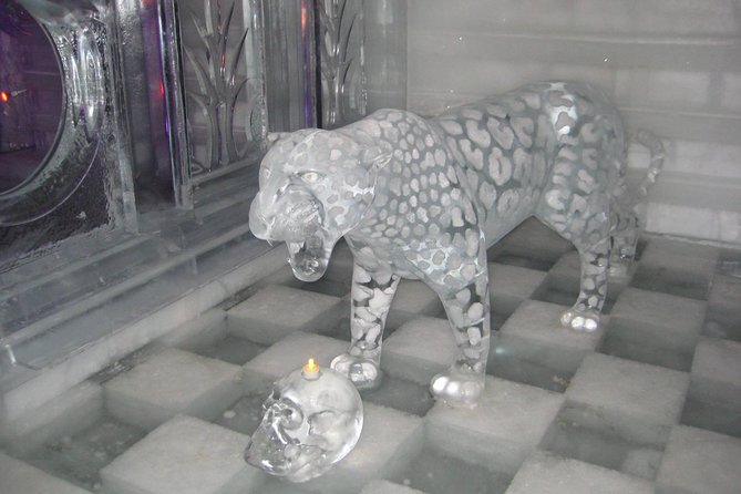 Northern Lights and Chena Hot Springs Tour from Fairbanks - Aurora Borealis Viewing at Chena Hot Springs