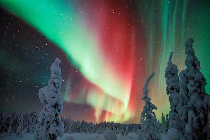 Northern Lights Aurora Tour from Kemi - Key Points