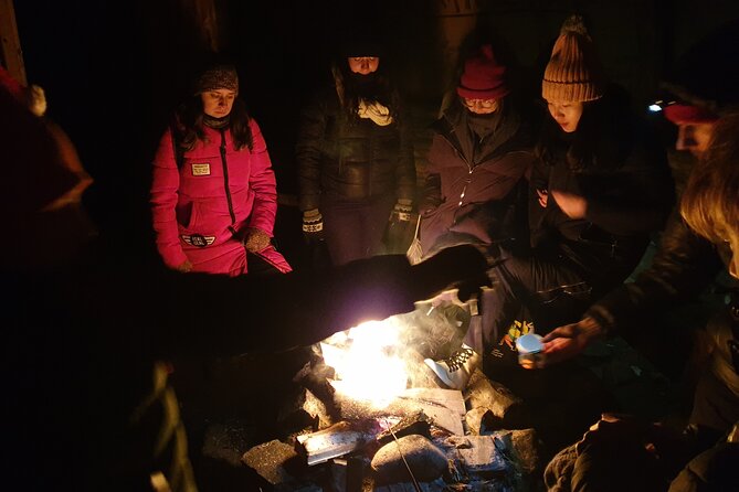 Northern Lights Auroras from Kemi-Tornio with Pickup - Key Points