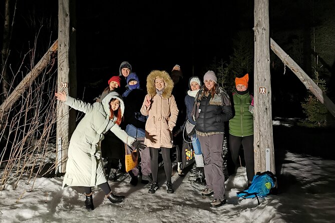 Northern Lights Auroras from Kemi-Tornio with Pickup - The Aurora Viewing Locations and Their Changing Nature