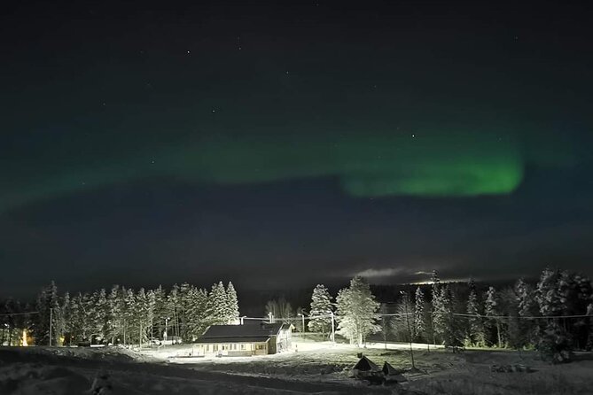 Northern Lights Auroras from Kemi-Tornio with Pickup - The Success Rate and the Expertise Behind the Tour