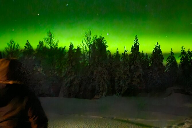 Northern Lights Auroras from Kemi-Tornio with Pickup - Considerations and Limitations