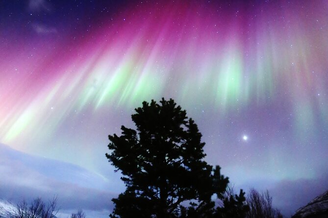 Northern Lights Big Bus Chase with Free Photos - Northern Lights Big Bus Chase with Free Photos: An Insightful Tromso Adventure