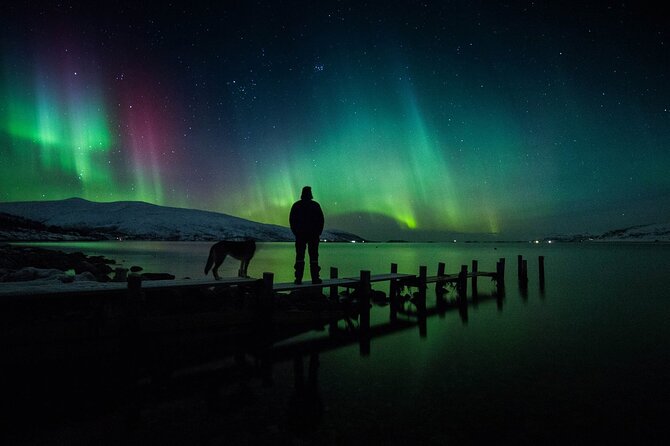 Northern Lights Big Bus Chase with Free Photos - Flexibility and Weather Cancellations