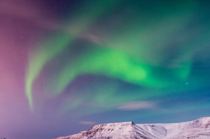 Northern Lights Boat Cruise from Reykjavik - Features Inside the Boat: Comfort and Convenience