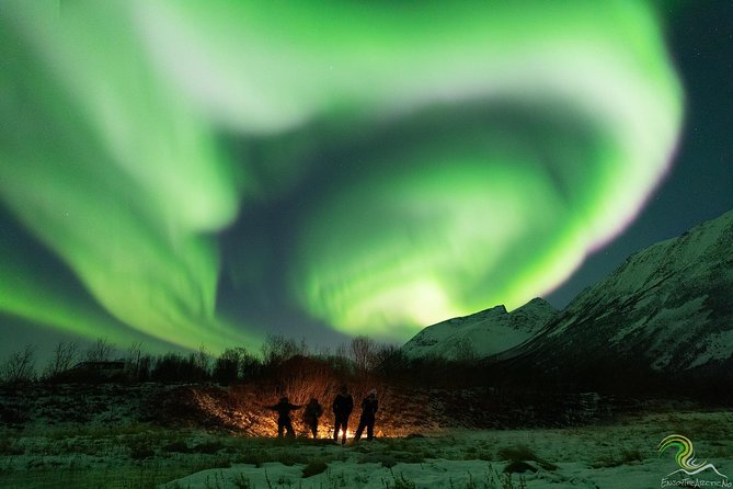 Northern Lights by Minibus. Photos Under the Lights included. Tromso - Photos Under the Lights: Capture and Sharing