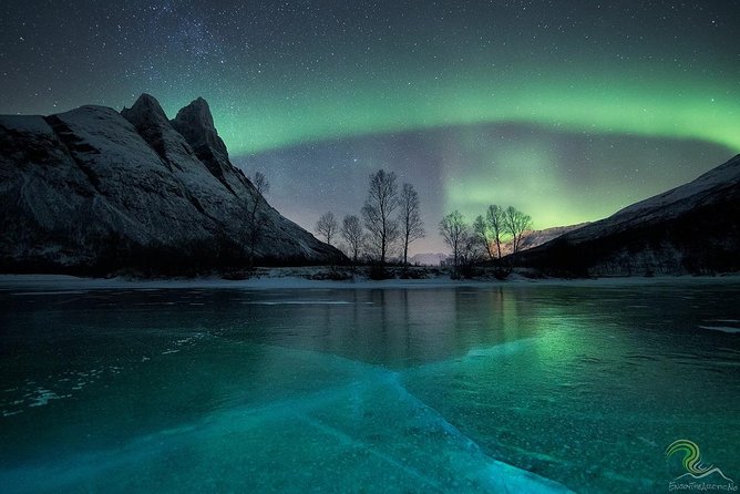 Northern Lights by Minibus. Photos Under the Lights included. Tromso - Customer Feedback: Strengths and Limitations