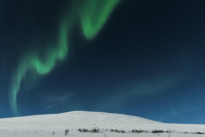 Northern lights cable car excursion - Potential Limitations and Considerations