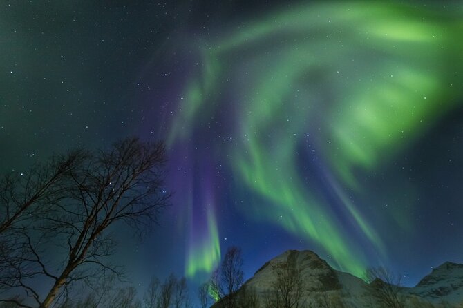 Northern Lights Chase by Bus in Tromso - The Risk of No Aurora Sightings and Tour Refunds