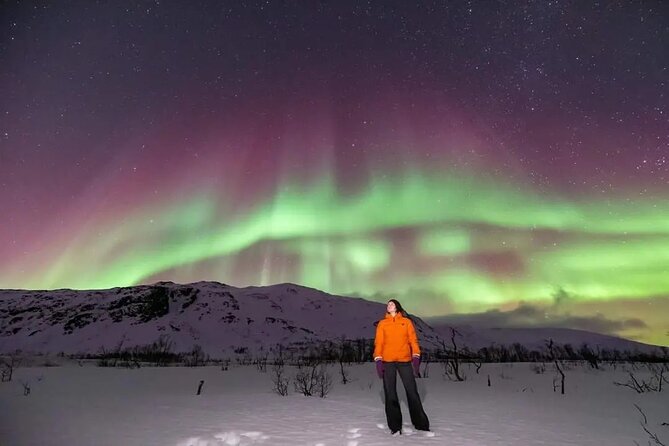 Northern Lights Chase by Minibus - Included Amenities and Practical Details