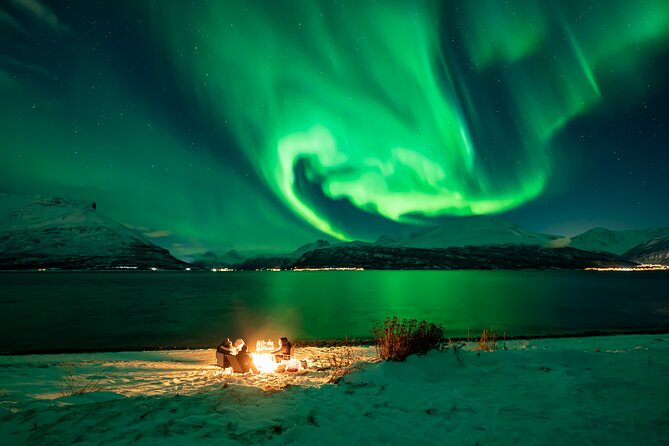Northern Lights Chase minibus, portraits, toilet, meal, guarantee - Northern Lights Chase with Arctic Circle Tours Tromsø: A Warm, Well-Organized Experience for Aurora Seekers