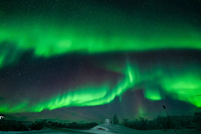 Northern Lights Chase minibus, portraits, toilet, meal, guarantee - Seeing the Northern Lights: Guides and Locations