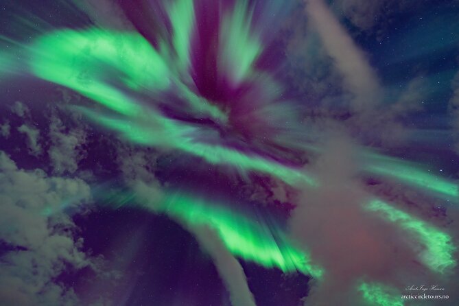 Northern Lights Chase minibus, portraits, toilet, meal, guarantee - Comfort and Practical Amenities During the Tour