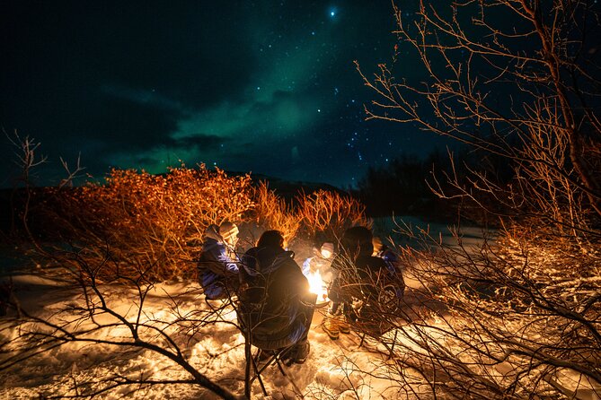 Northern Lights Chase - Small group experience - The Scenic Arctic Landscapes Along the Route