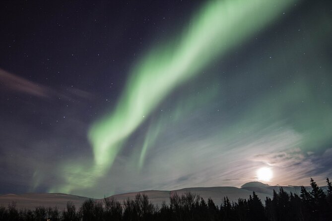 Northern Lights Classic Tour from Akureyri - Discover the Northern Lights Classic Tour from Akureyri