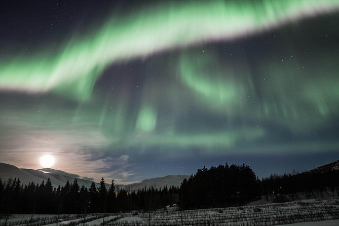 Northern Lights Classic Tour from Akureyri - Key Points
