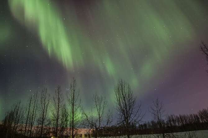 Northern Lights Classic Tour from Akureyri - The Chances of Seeing the Northern Lights