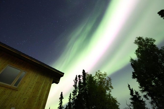 Northern Lights Experience and Cabin Dinner - Expert Guides and Friendly Service