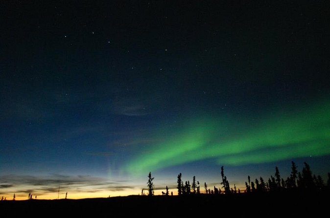 Northern Lights Experience and Cabin Dinner - Comparing This Tour to Similar Options