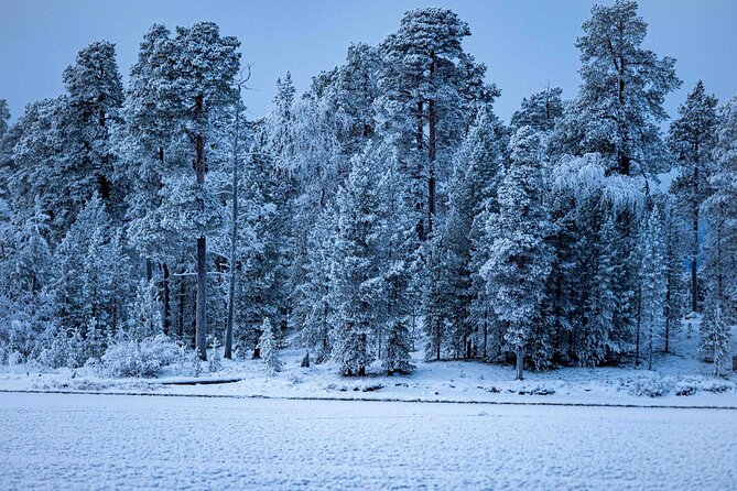 Northern Lights Holiday in Finland - Backcountry Skiing and Aurora Camping