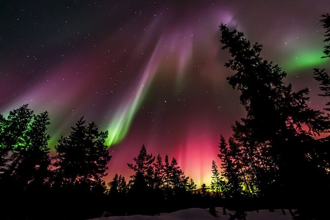 Northern Lights Hunt from Rovaniemi with Folk Tales and Snacks over Campfire - The Experience of Overcast Nights