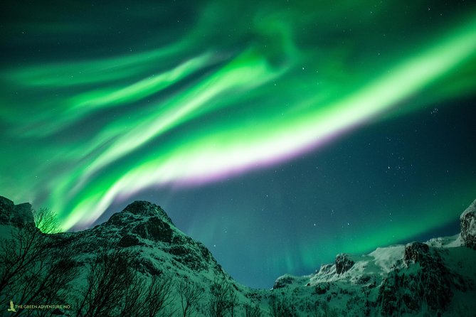 Northern Lights Hunt with The Green Adventure - photos included - Food, Warmth, and Comfort Features