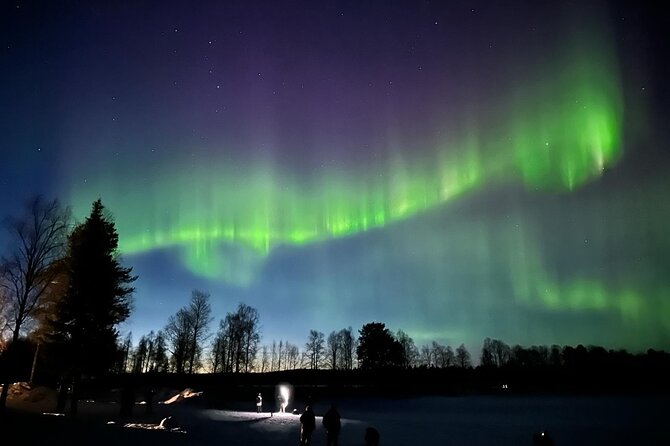 Northern Lights Hunting of Rovaniemi - Group Size and Tour Logistics