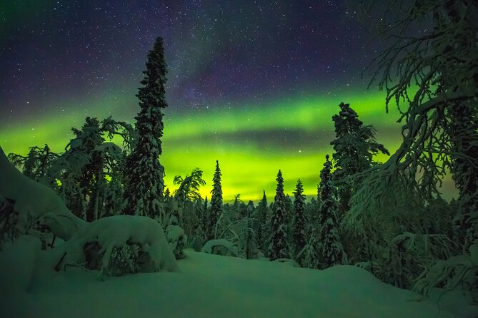 Northern Lights Hunting of Rovaniemi - Pricing and Booking in Advance
