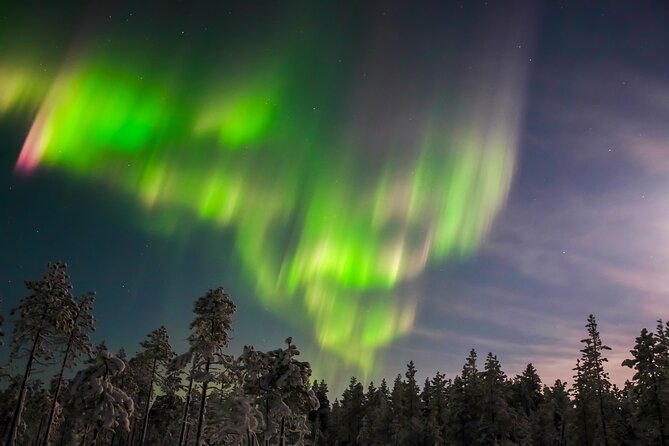 Northern Lights Hunting Photo Tour in Levi - Key Points