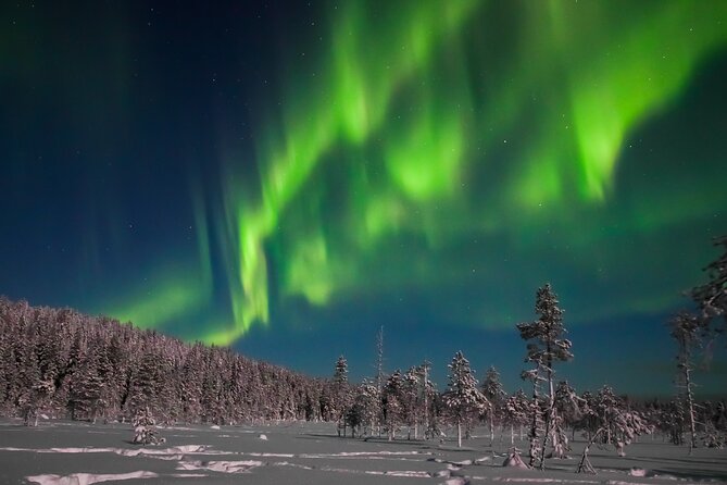 Northern Lights Hunting Photo Tour in Ylläs - Key Points