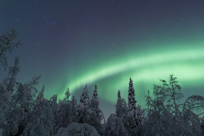 Northern Lights Hunting Photo Tour in Ylläs - Flexibility and Cancellation Policy