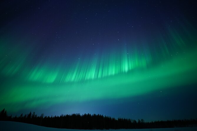 Northern Lights Hunting Photography in Rovaniemi Finland - The Guides: Knowledgeable and Passionate