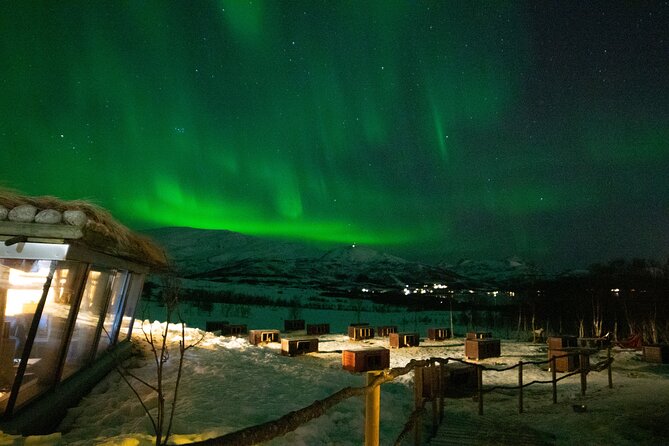 Northern Lights Husky Visit - The Warm and Cozy Aurora Camp Atmosphere