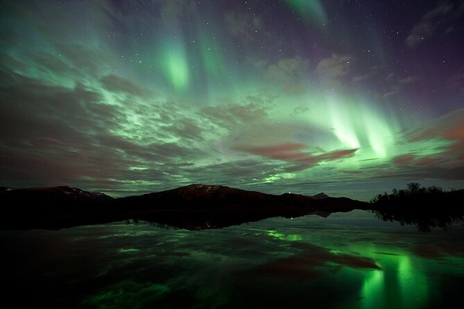 Northern Lights Husky Visit - Who Will Enjoy the Northern Lights Husky Visit?