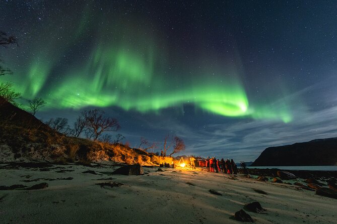 Northern Lights in Focus Tour by Minibus, German/ English, Meal - Key Points