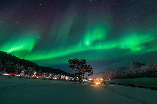 Northern Lights Minibus Chase from Tromso - Scenic Stops and Optional Fireside Breaks