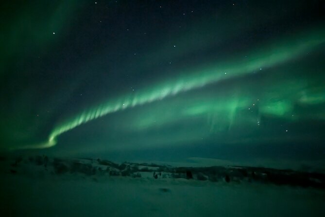 Northern Lights Minibus Chase Max 16 Person In Group - The Guides Role and Customer Service