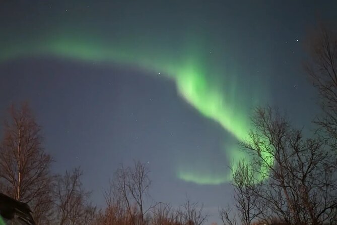 Northern Lights Minibus Chase Max 16 Person In Group - Aurora Sightings: Luck and Effort