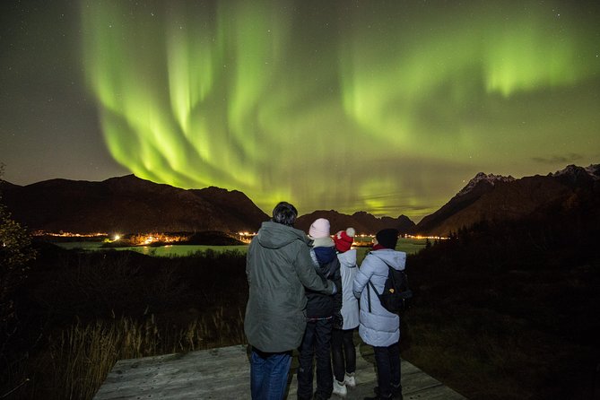 Northern Lights Photo Tour - Professional Photography and Free Photos the Next Day