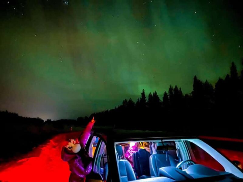 Northern lights private tour Rovaniemi - Reviews Highlighting Guide Expertise and Experience
