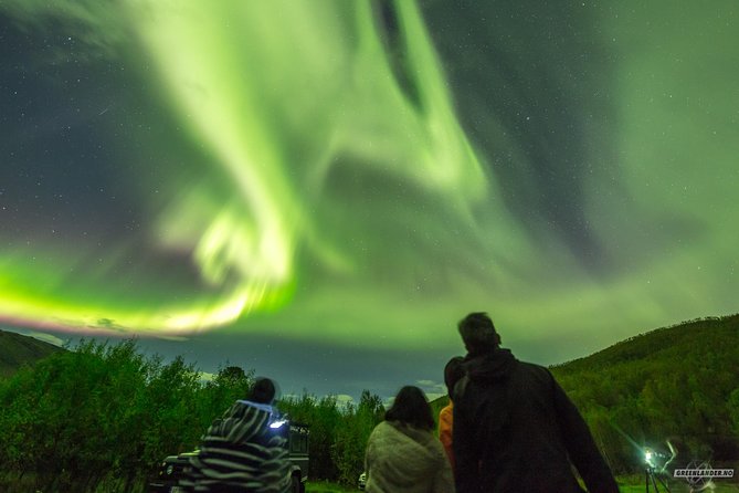 Northern Lights Private tour with your special ones - Greenlander - Tromsø Departure and Easy Access to the Aurora